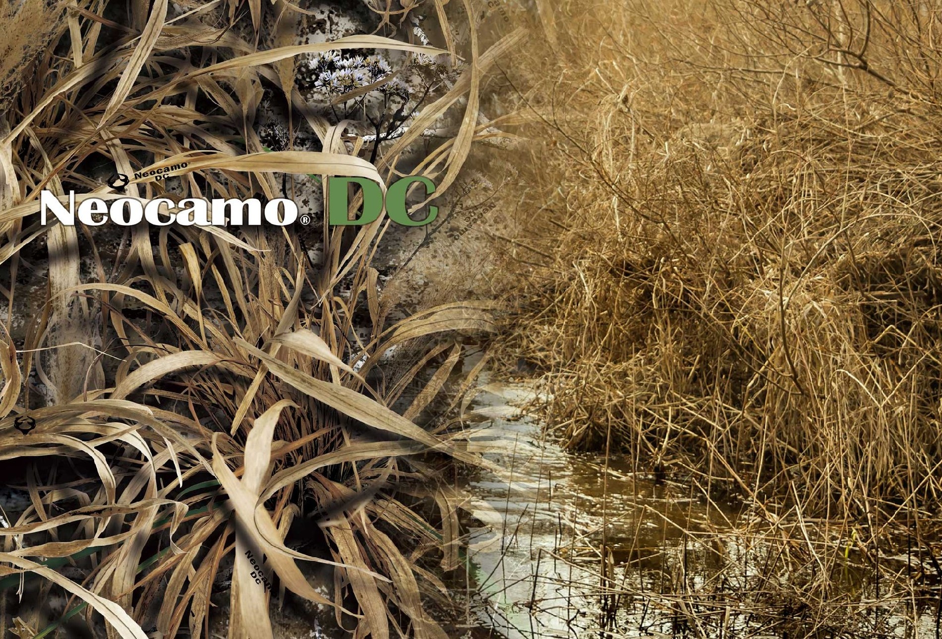 Neocamo® DC